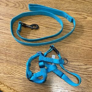 Leash & Harness Combo